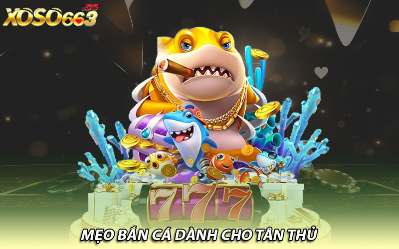 Mẹo bắn cá dành cho tân thủ