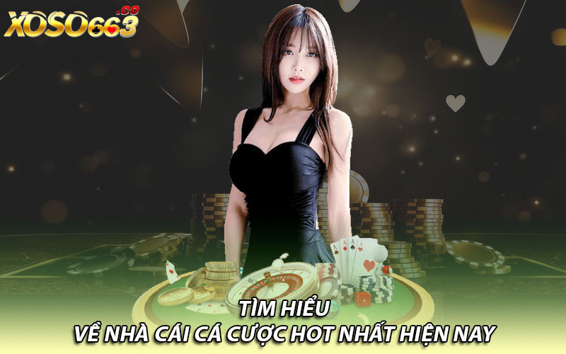 Tìm hiểu về nhà cái cá cược hot nhất hiện nay