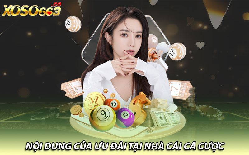 Nội dung của ưu đãi tại nhà cái cá cược